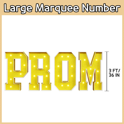 3-4FT Precut Marquee Numbers DIY Kit - PROM